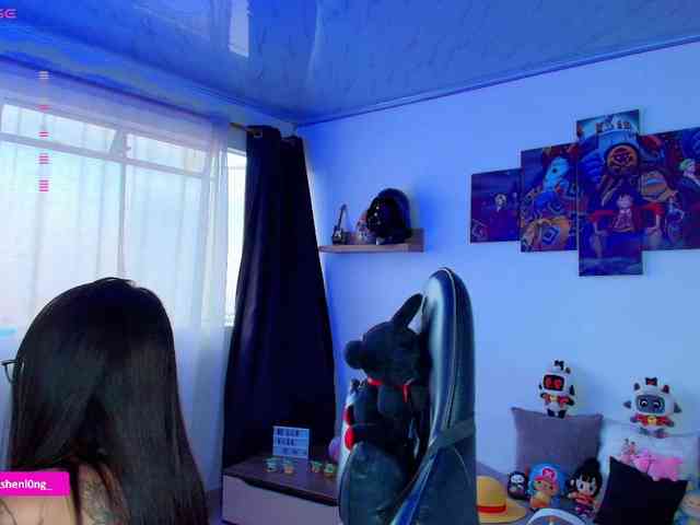 Nicorobin webcam
