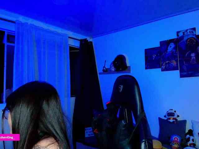 Nicorobin webcam