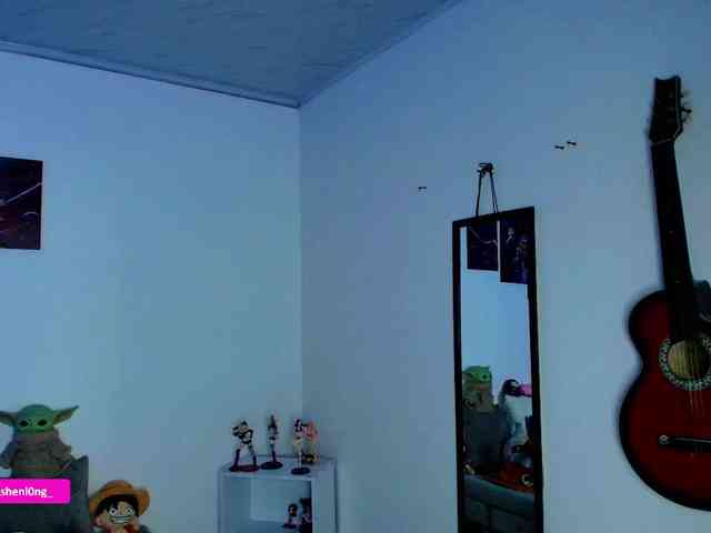 Nicorobin webcam