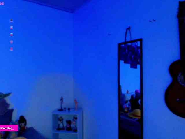 Nicorobin webcam