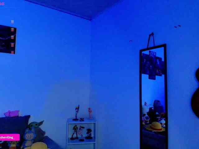 Nicorobin webcam