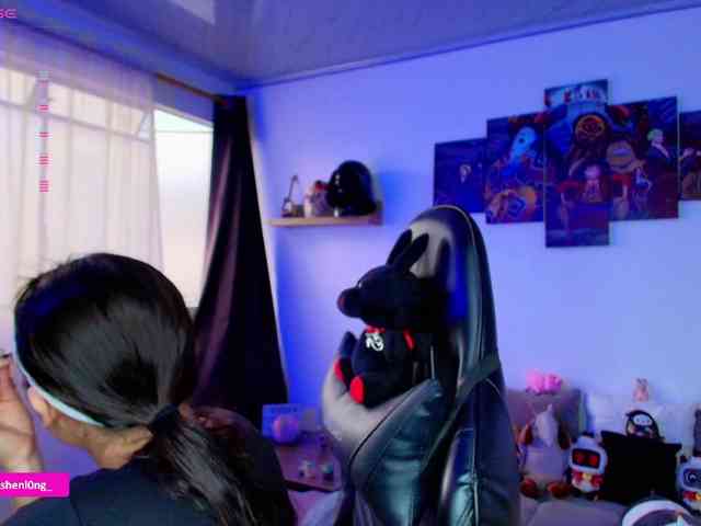 Nicorobin webcam