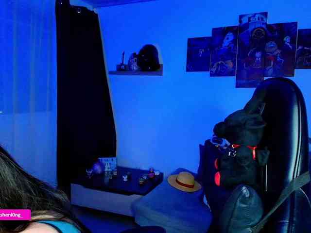 Nicorobin webcam