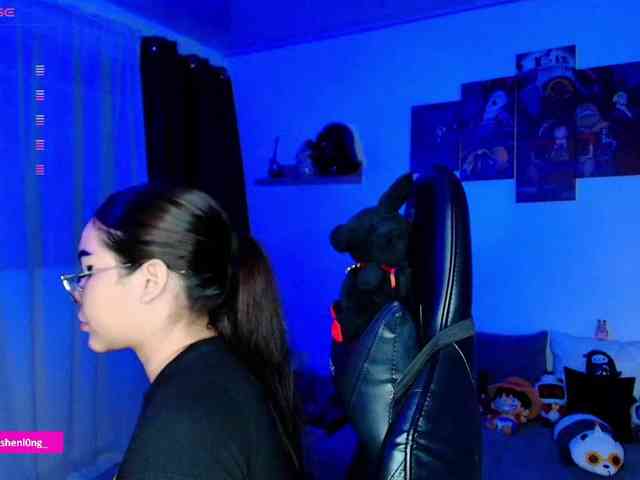 Nicorobin webcam