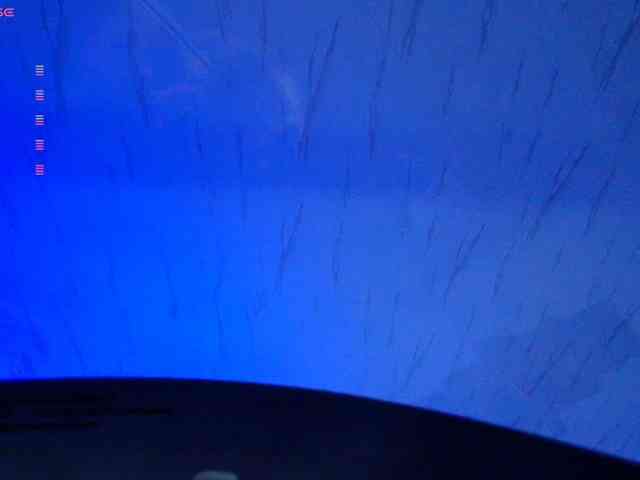 Nicorobin webcam