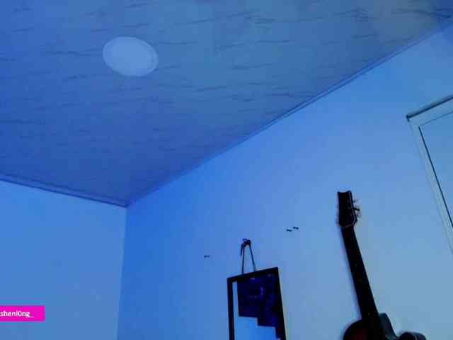 Nicorobin webcam