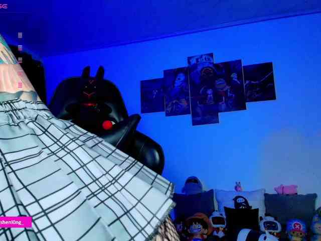 Nicorobin webcam