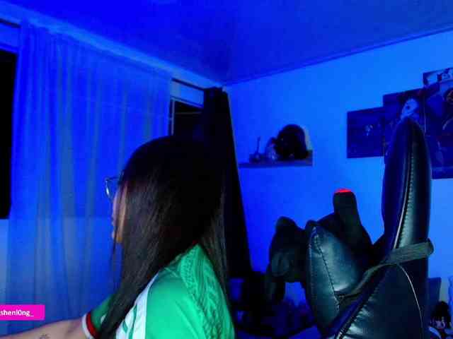 Nicorobin webcam