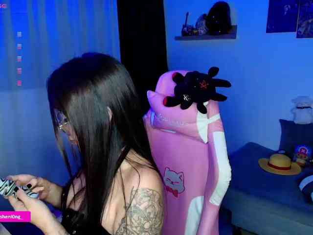 Nicorobin webcam