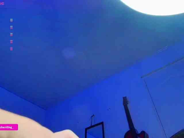 Nicorobin webcam