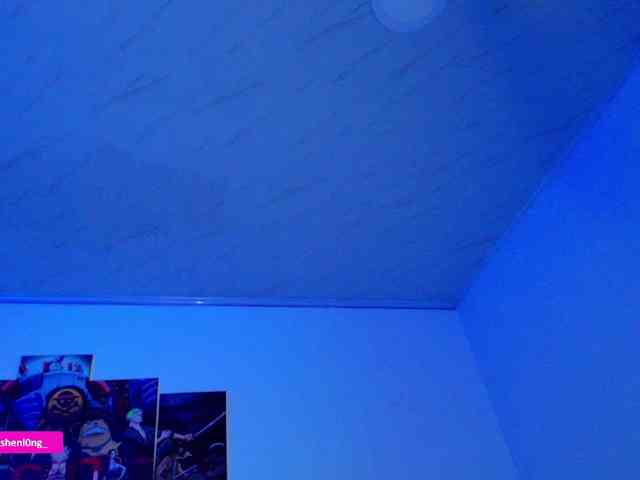 Nicorobin webcam
