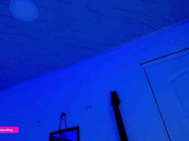 Nicorobin webcam