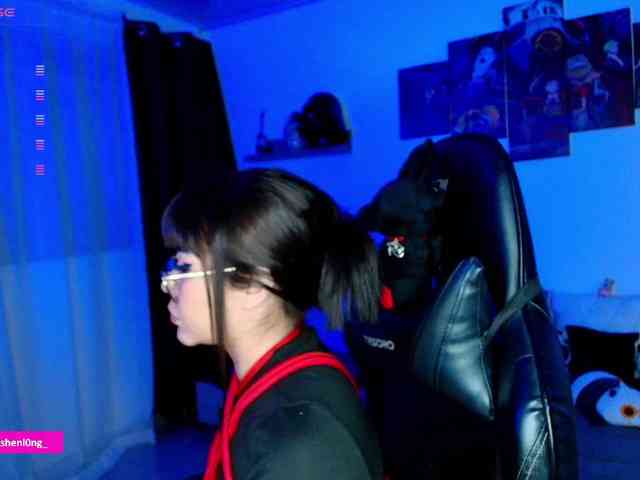 Nicorobin webcam
