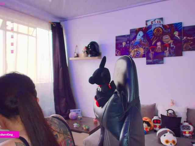 Nicorobin webcam