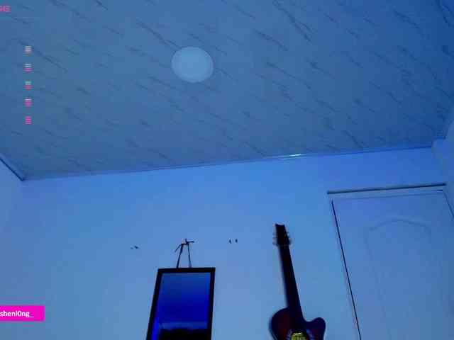 Nicorobin webcam