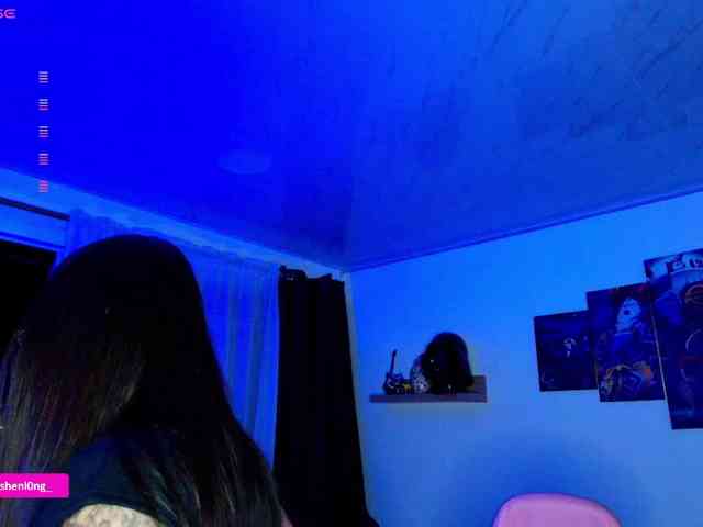 Nicorobin webcam