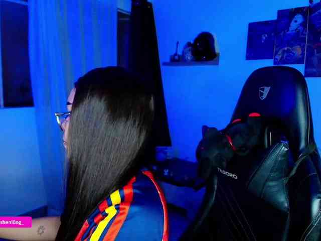 Nicorobin webcam