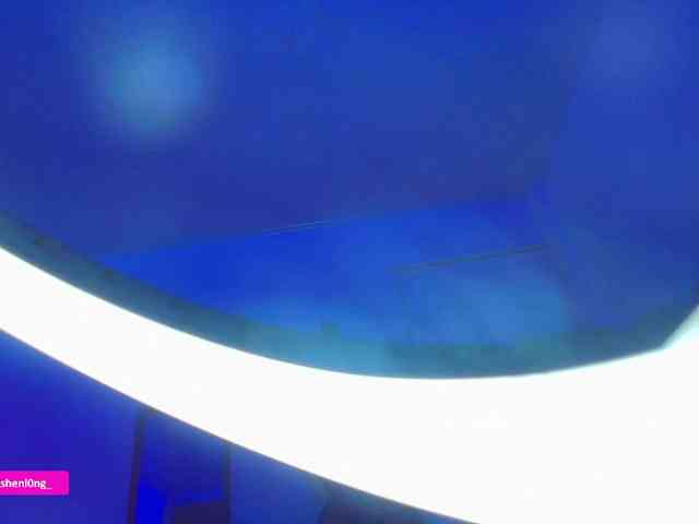 Nicorobin webcam