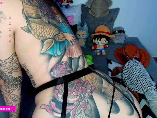 Nicorobin webcam