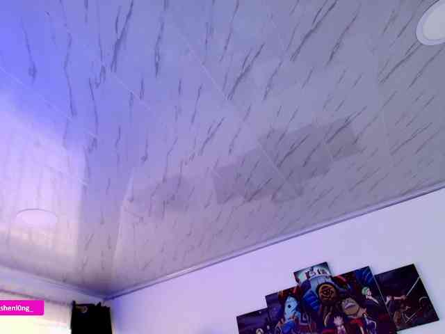 Nicorobin webcam
