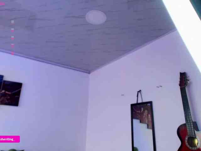 Nicorobin webcam