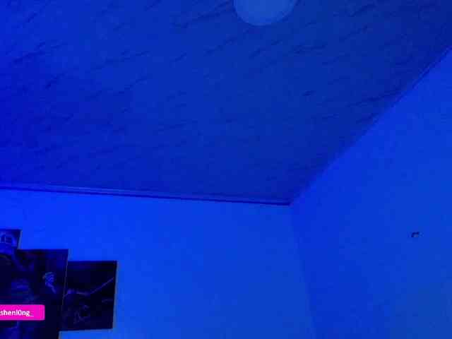 Nicorobin webcam