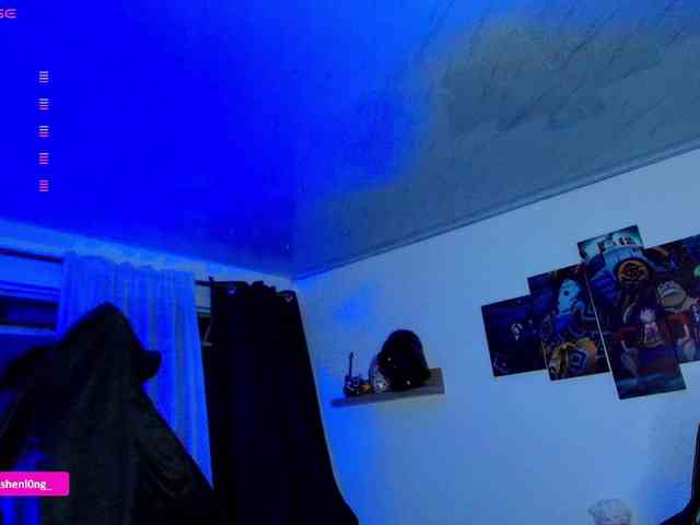 Nicorobin webcam
