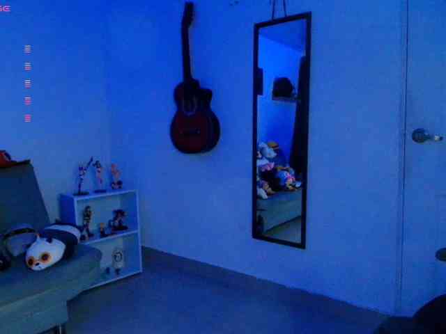Nicorobin webcam