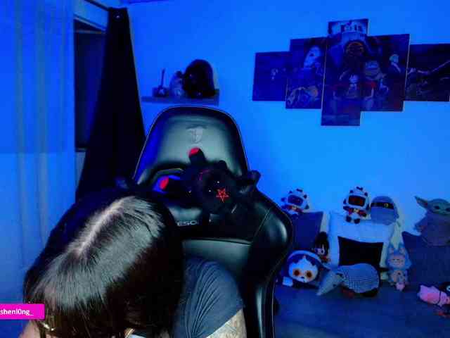Nicorobin webcam