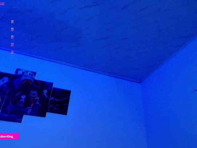 Nicorobin webcam