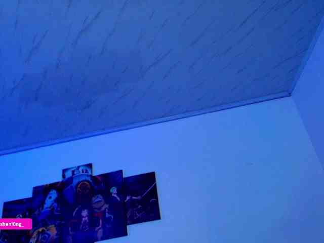 Nicorobin webcam