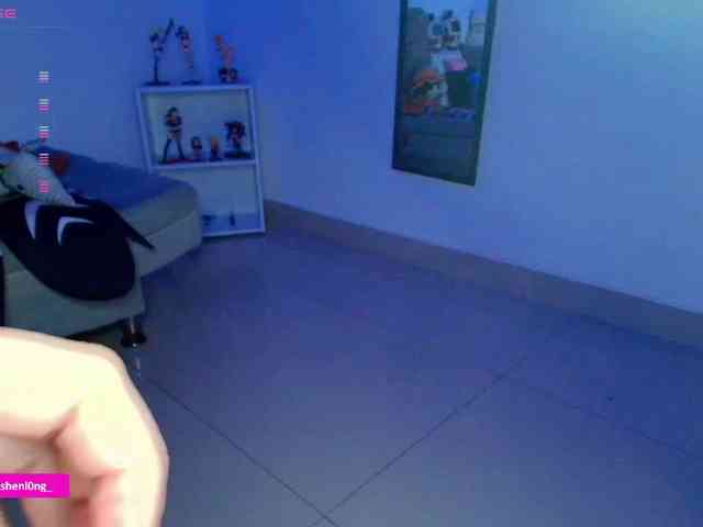 Nicorobin webcam