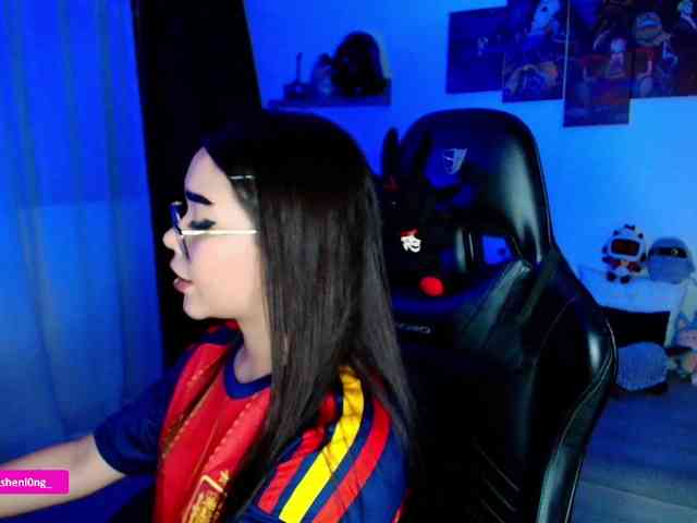 Nicorobin webcam
