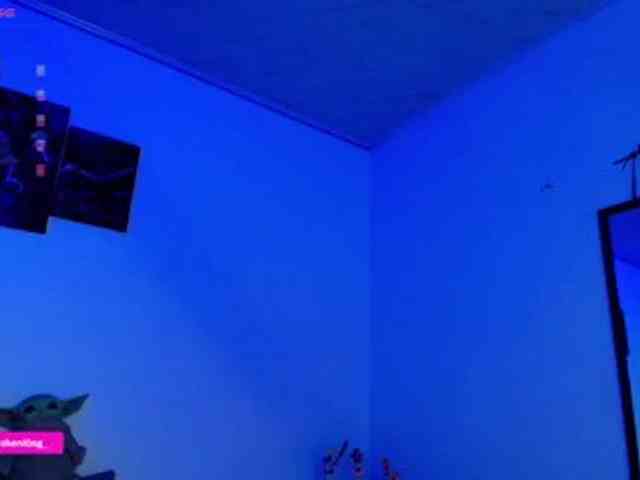 Nicorobin webcam