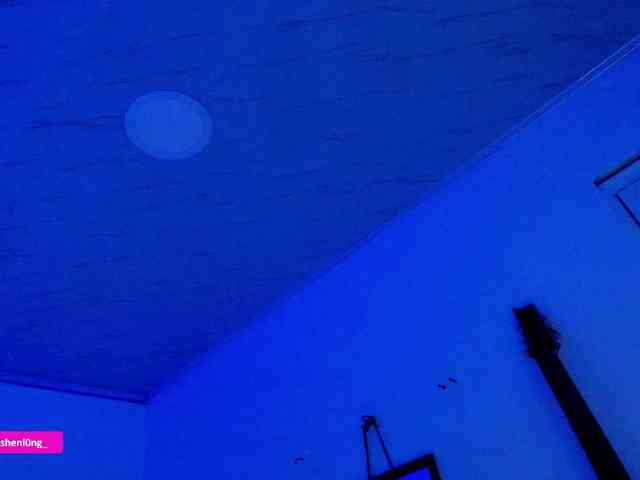Nicorobin webcam
