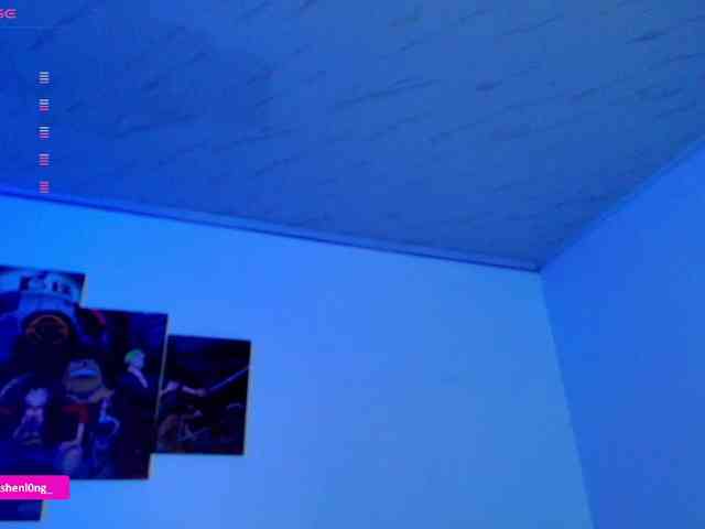Nicorobin webcam