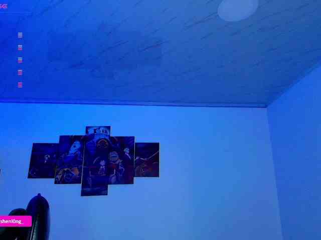 Nicorobin webcam