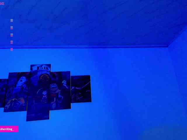 Nicorobin webcam