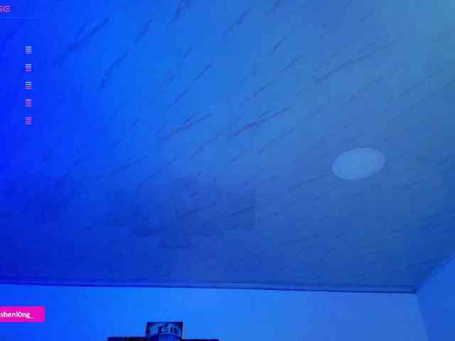 Nicorobin webcam