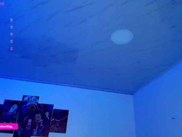 Nicorobin webcam