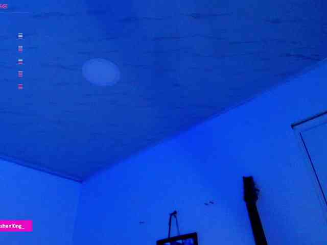 Nicorobin webcam