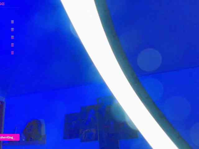 Nicorobin webcam