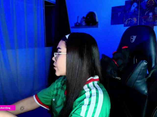 Nicorobin webcam