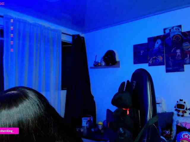 Nicorobin webcam