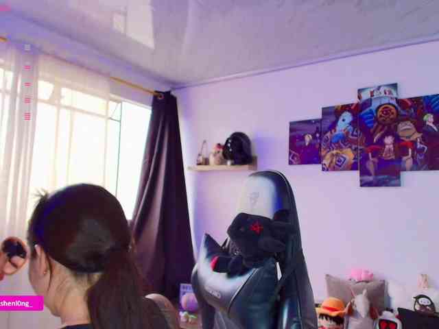 Nicorobin webcam
