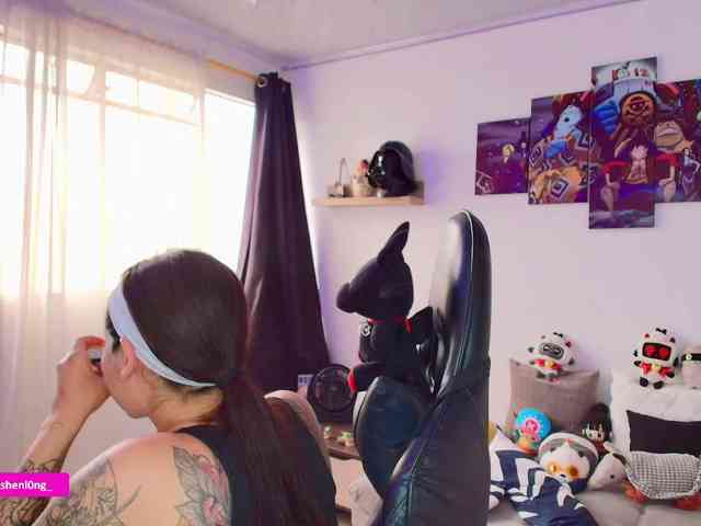 Nicorobin webcam