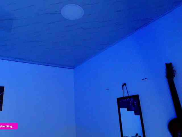 Nicorobin webcam