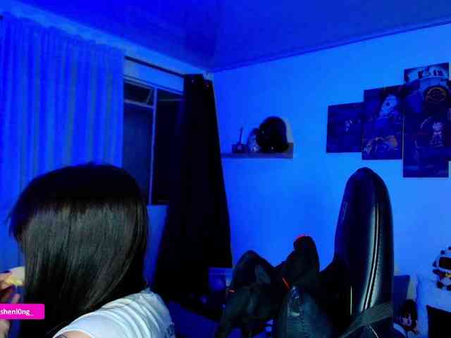 Nicorobin webcam