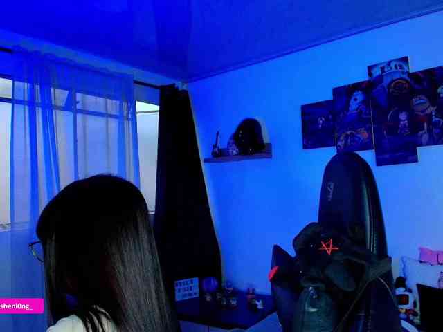 Nicorobin webcam