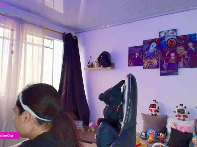 Nicorobin webcam
